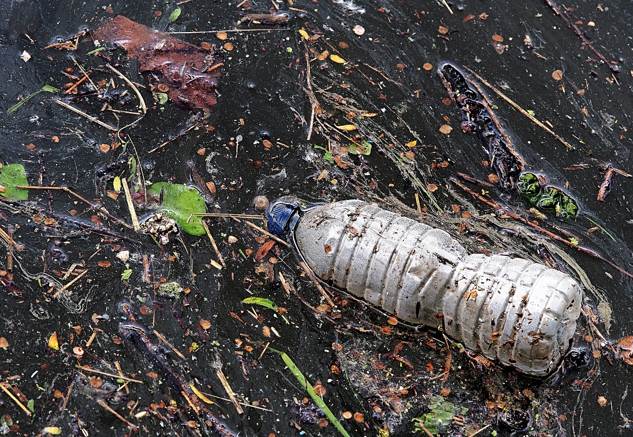 海洋深處的呼喚，魚(yú)的吶喊與我們的責(zé)任