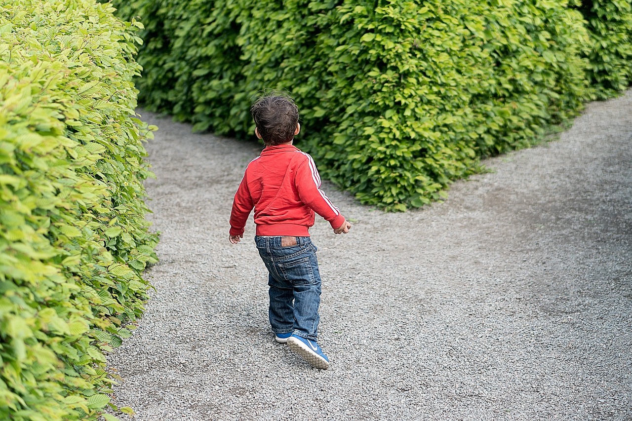 馬路牙子上的生活感悟與思索