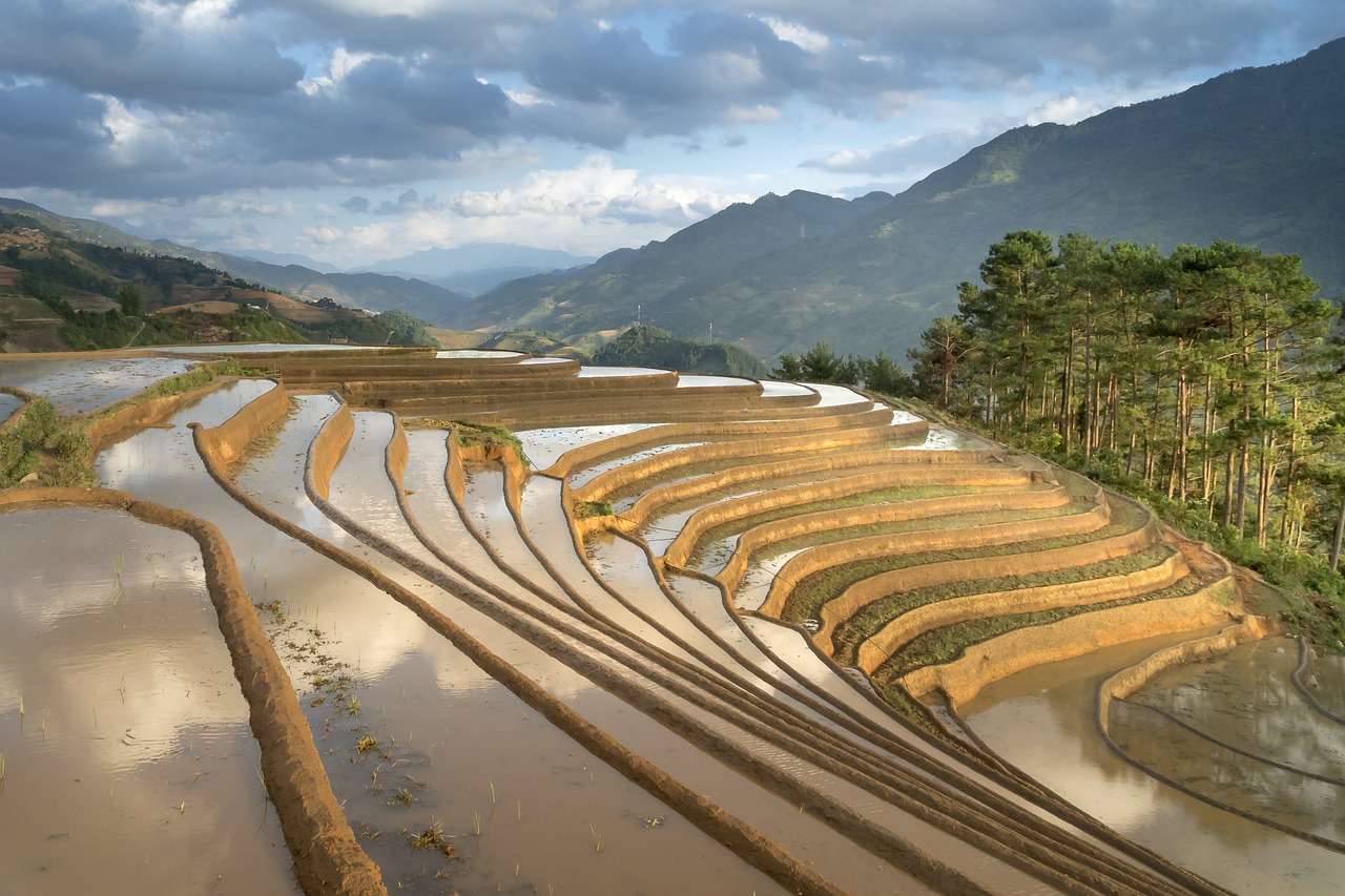 南平稻米，滋養(yǎng)大地，傳承千年文化